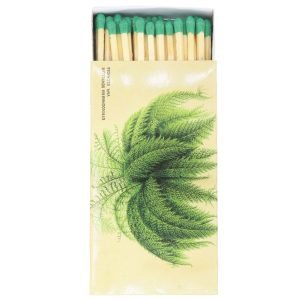Homart: Matches- ferns with sepia background