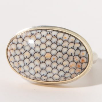 Jamie Joseph:Sterling & 14K Gold Ring w/ Oval SNAKESKIN AGATE Ring on Middle Organic Band, size 7.5, 1/2 x 3/4
