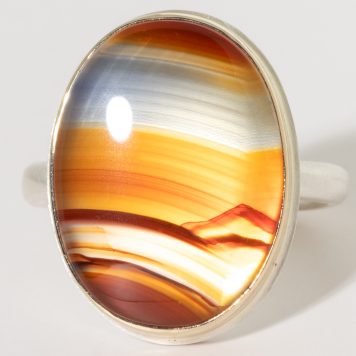 Jamie Joseph:Sterling & 14K Gold Ring w/ Vertical LANDSCAPEAGATE on Middle Organic Band