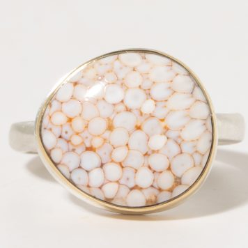 Jamie Joseph:Sterling & 14K Gold Ring w/Asymmetrical SNAKE SKIN AGATE on Middle Organic Band